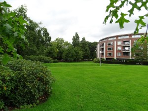 Reesink Hoveniers Soest - Tuin- en parkonderhoud