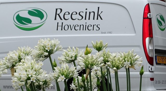 Bedrijfstuinen van Reesink Hoveniers in Zeewolde, Harderwijk, Soest en Bilthoven