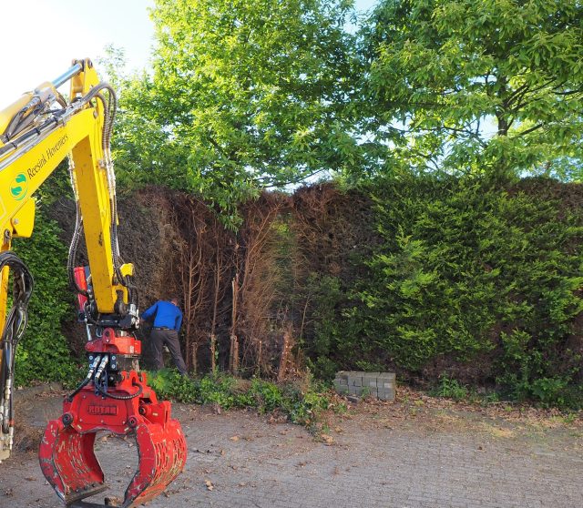 Hoveniersbedrijf Zeewolde vervangt coniferenhaag