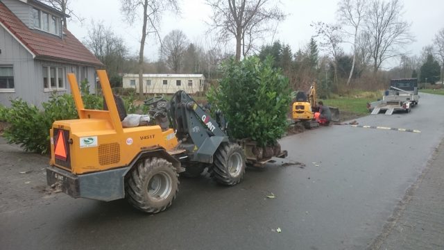 Tuinaanleg Zeewolde BEPLANTING