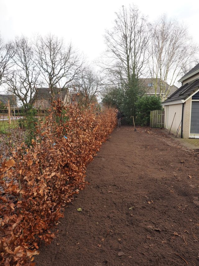 Tuinaanleg en beplanting Harderwijk