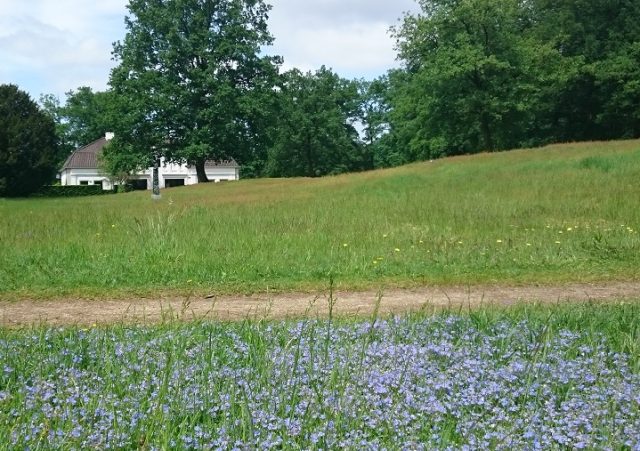 Bloemenweide parken en landgoederen