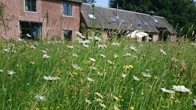 Tuinaanleg Stinsentuin De Bilt