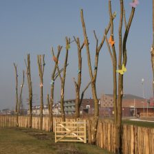 Aanleg Heemtuin Zeewolde