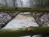 Bomen verwijderen in Zeewolde, Harderwijk e.o.