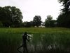 Tuinonderhoud