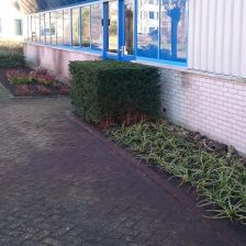 Tuinonderhoud bedrijfstuinen Almere