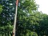 Boomverzorging Bilthoven