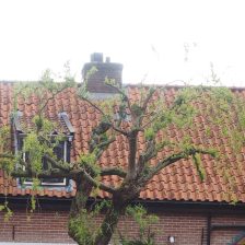 Tuinontwerp Harderwijk Oud
