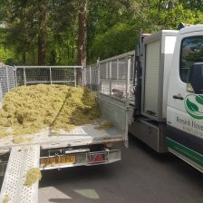 Gazon verticuteren (Advies gazononderhoud)