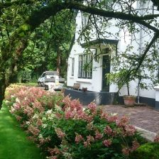 Tuinaanleg en tuinonderhoud Hilversum