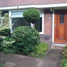 Tuinonderhoud Utrecht