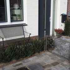 Hoveniersbedrijf legt stadstuintje in Harderwijk aan