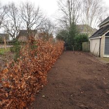 Tuinaanleg en beplanting Harderwijk