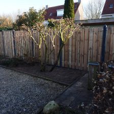 Schutting vervangen in uw regio