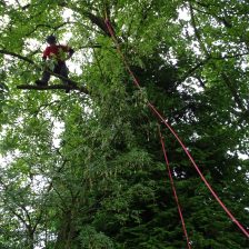 Boomverzorging m.b.v. klim- en afvangtechniek