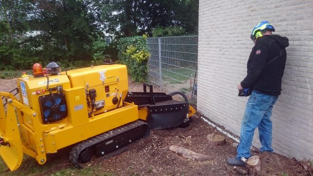 Stobbe frezen boomverzorging
