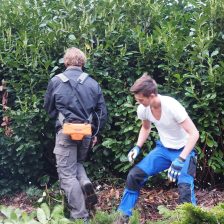 Tuinonderhoud Harderwijk door vakhoveniers