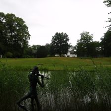 Tuinonderhoud Bilthoven