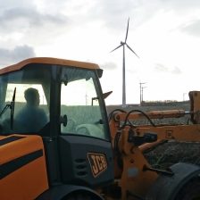 Boomverzorging en onderhoudsdunning