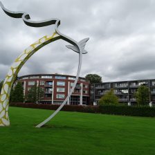 Hoveniers Soest – Tuinonderhoud