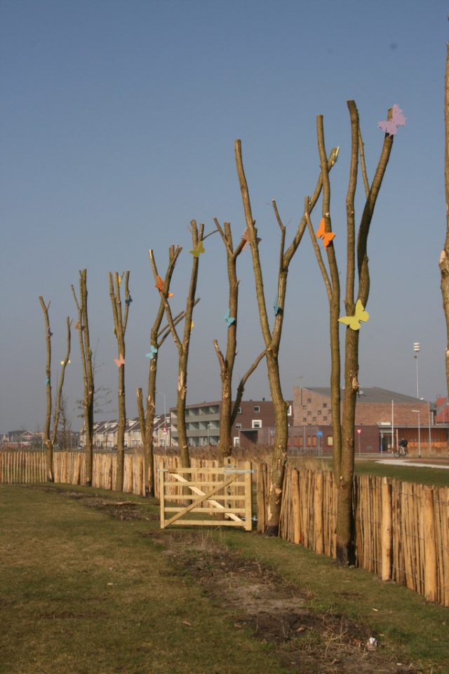 Aanleg Heemtuin Zeewolde