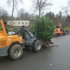 Tuinaanleg Zeewolde BEPLANTING