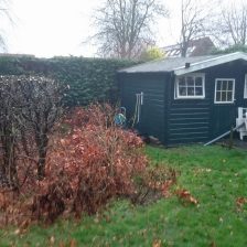 Tuinonderhoud Zeewolde SNOEIEN