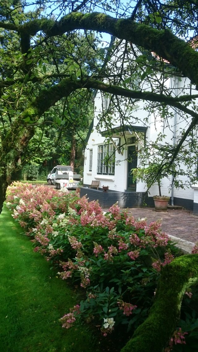 Tuinaanleg en tuinonderhoud Hilversum