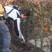 Tuinonderhoud is vakwerk