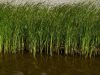 Onderhoud bedrijfsterrein Zeewolde Bisofloor