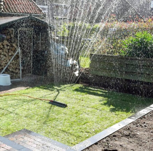 Graszoden leggen betekend water geven!