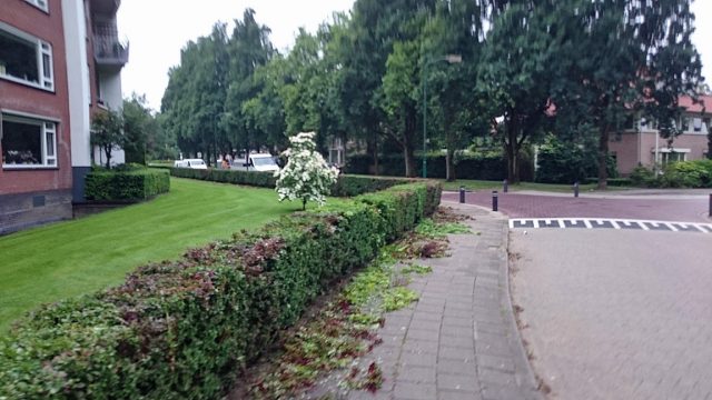 Tuinonderhoud Soest