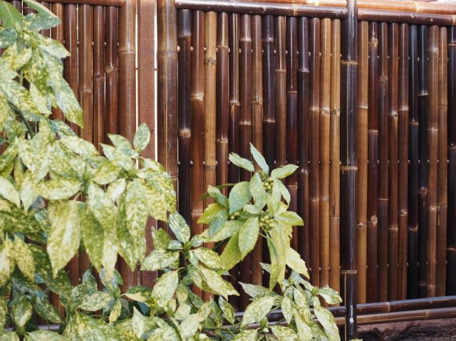 Bamboe tuinafscheiding